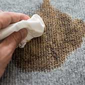 シミ・汚れ落とし（キャンシステム）